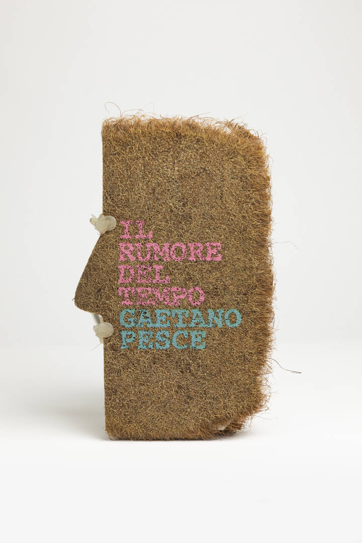 GAETANO PESCE - 'Il rumore del tempo'
