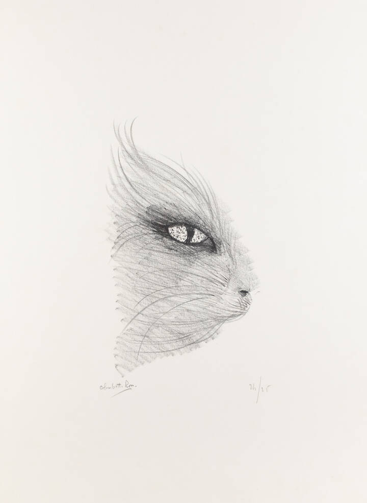 ENRICO COLOMBOTTO ROSSO - 'Gatto'