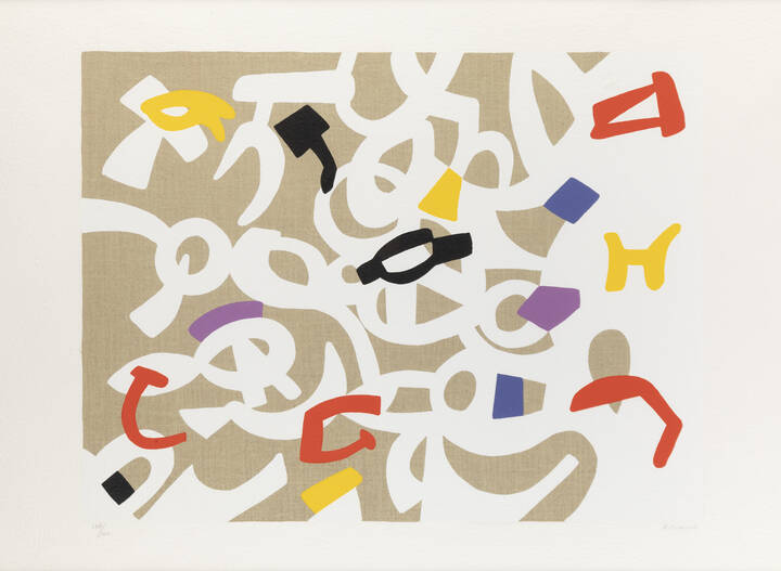CARLA ACCARDI - 'Residui cauti', 1999