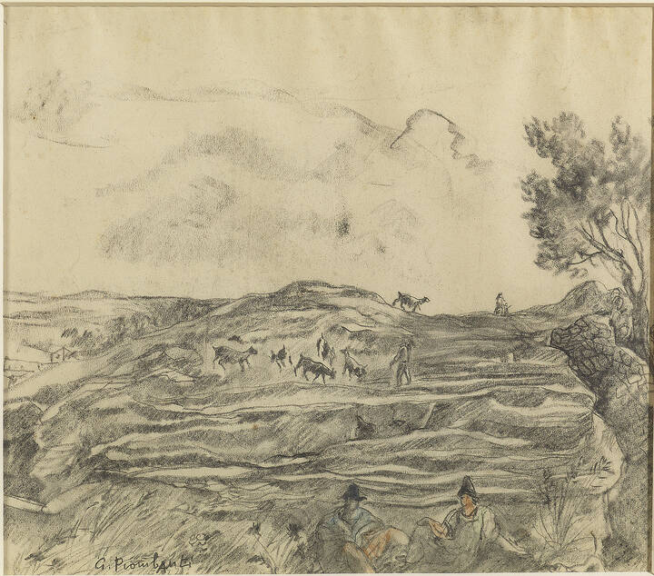 GIUSEPPE PIOMBANTI AMMANNATI - 'Capre al pascolo'