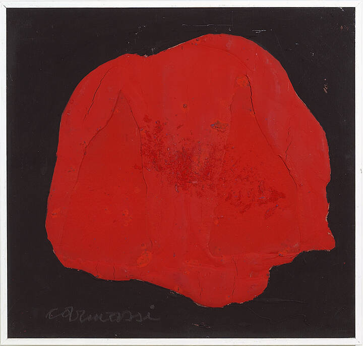 ARTURO CARMASSI - 'Senza titolo'