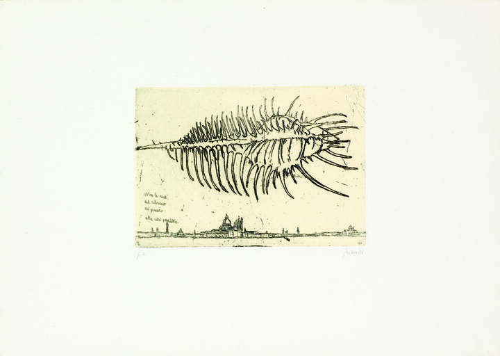 RENZO BIASION - 'Oltre le rive...' 1990