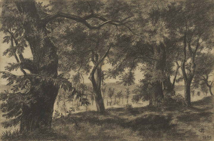 CAMILLO MERLO - 'Bosco' 1891