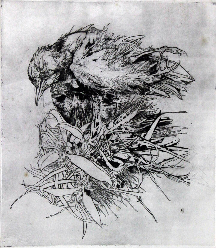 SERGIO SARONI - 'Nido'