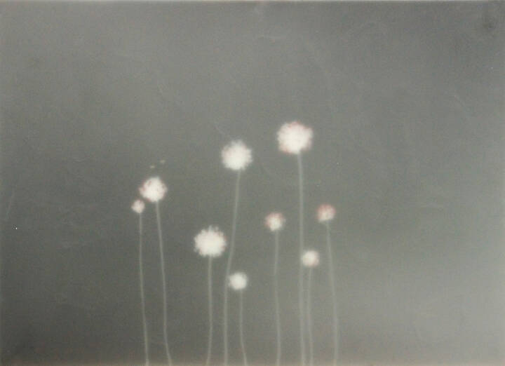 FRANCESCO SENA - 'Soffioni'