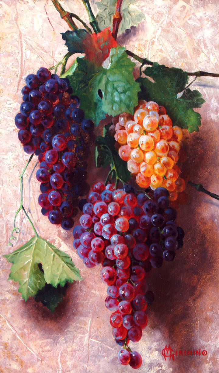 MARCELLO GIACHINO - 'Grappoli d'uva'