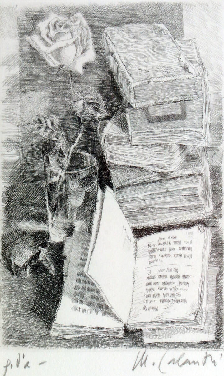 MARIO CALANDRI - 'Senza titolo (libri e rosa)' 1981
