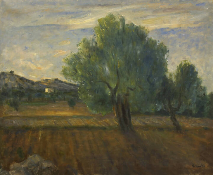 VINCENZO CIARDO - 'L'olivo'