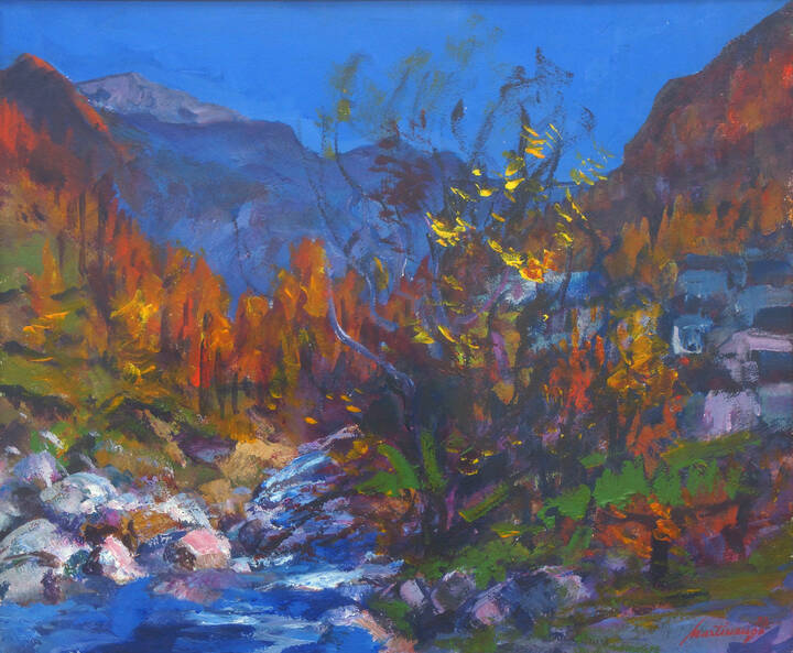 FRANCO MARTINENGO - 'Val Granda' anni '970