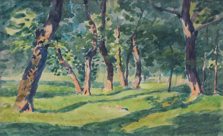 LUIGI CALDERINI - 'Colpi di sole tra gli alberi a Mattie'