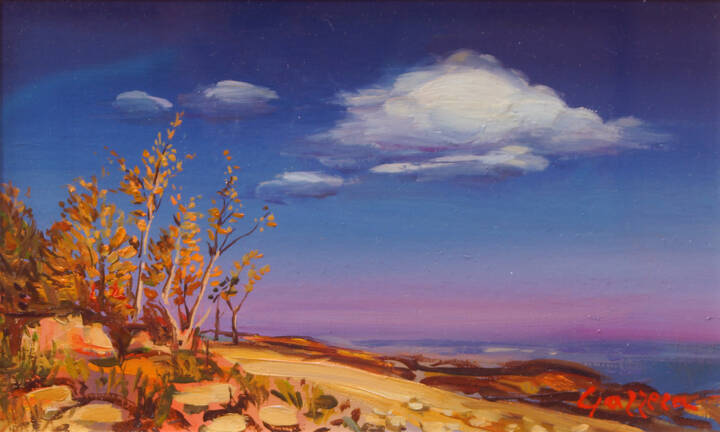 ROMANO GAZZERA - 'Nuvola e betulle' 1977