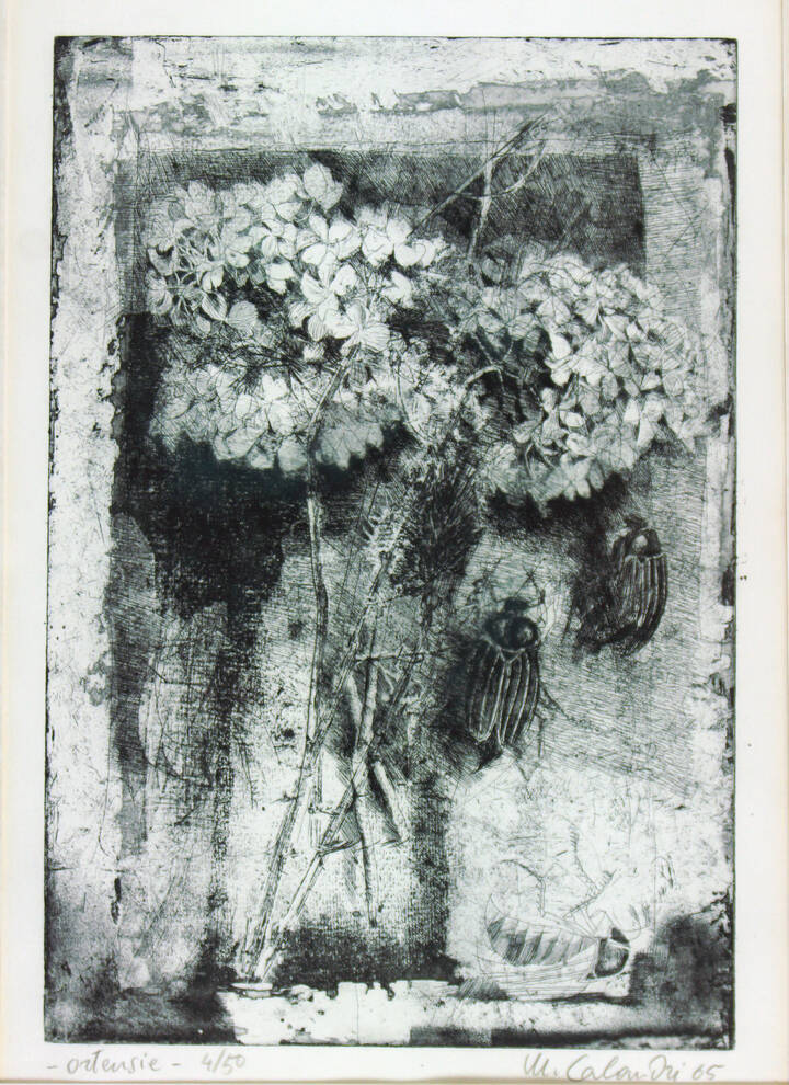 MARIO CALANDRI - 'Ortensie' 1965