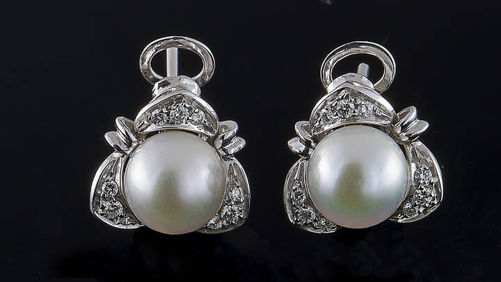 COPPIA DI ORECCHINI -  