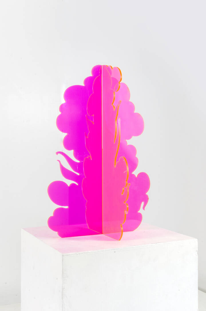 GINO MAROTTA - Cespuglio 