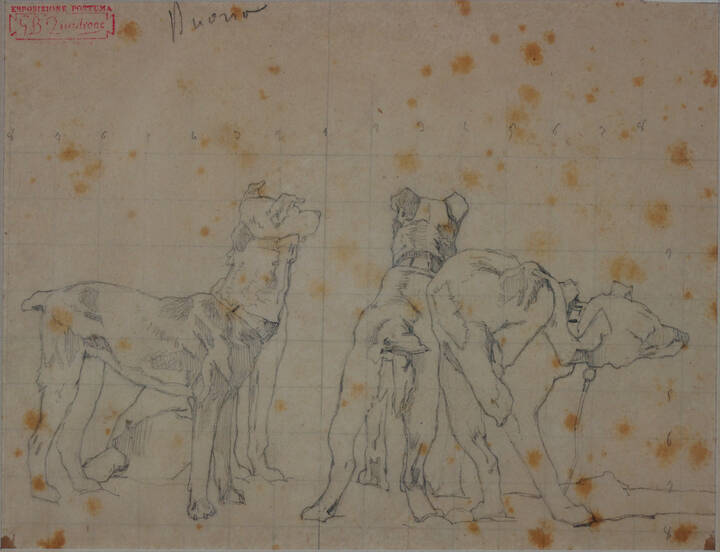 GIOVANNI BATTISTA QUADRONE - 'Studio di cani per 'Dopo una battuta', II' 1888