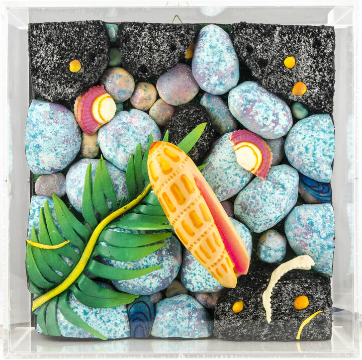 PIERO GILARDI - 'Conchiglia alle Canarie'