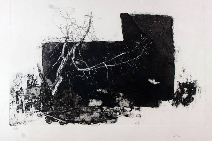 GAETANO PINNA - 'Senza titolo'