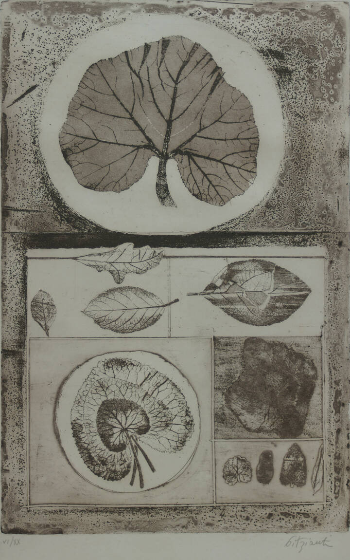 PAOLA PITZIANTI - 'Senza titolo'