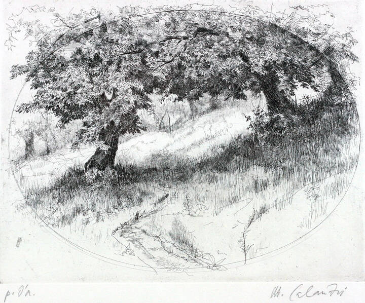 MARIO CALANDRI - 'Nel bosco'1980