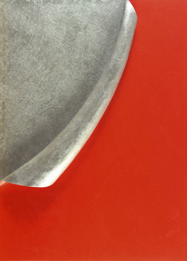 ANTONIO BACCARIN - 'Senza nome' 2008