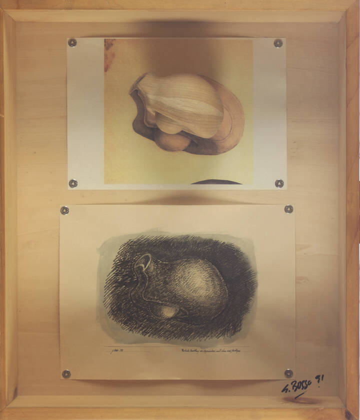 GIANNI BUSSO - 'Senza titolo' 1991