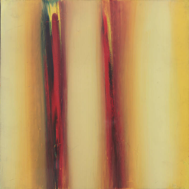 ENNIO FINZI - 'Il verso del giallo' 2011