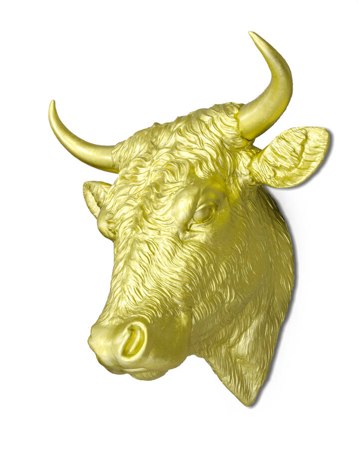 OTTMAR HORL - 'Bullock' 2011