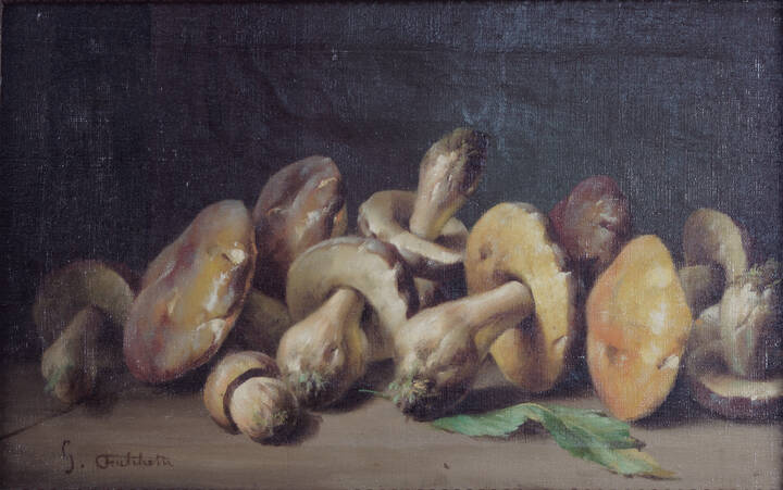 GIUSEPPE FALCHETTI - 'Natura morta con funghi'