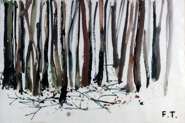 FRANCESCO TABUSSO - 'Bosco di betulle'