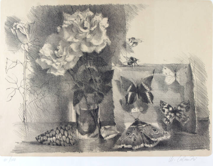 MARIO CALANDRI - 'Senza titolo (Rose, conchiglie e scatola degli insetti)' fine anni '950