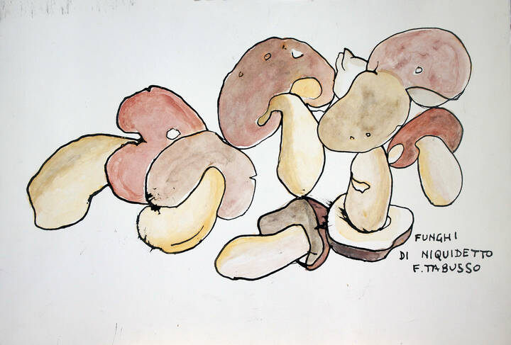 FRANCESCO TABUSSO - 'Funghi di niquidetto'