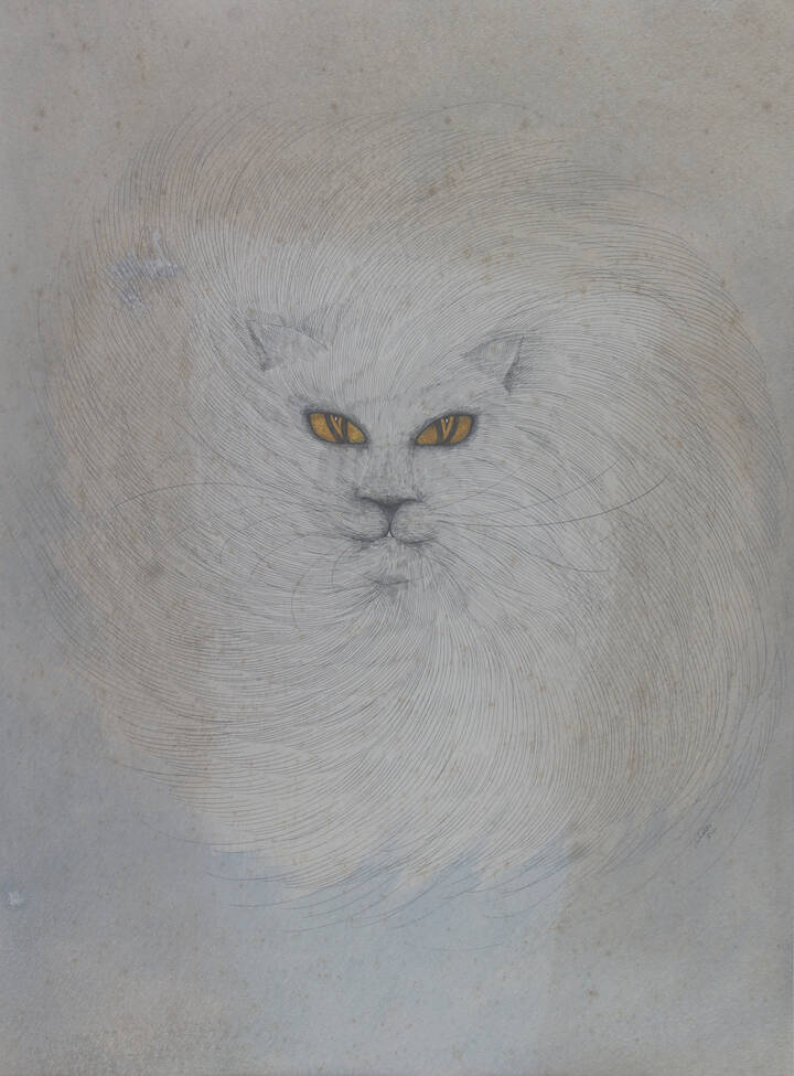 ENRICO COLOMBOTTO ROSSO - 'Gatto bianco'