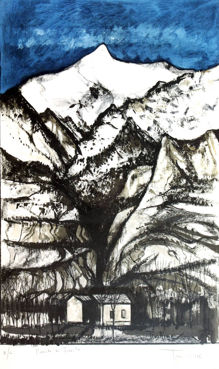 TINO AIME - 'L'orrido di Foresto'