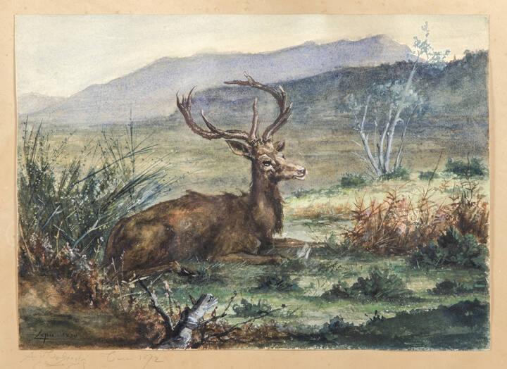LUDOVIC NAPOLEON LEPIC - 'Cervo' 1870