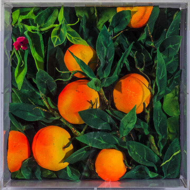 PIERO GILARDI - 'Aranci tardivi'