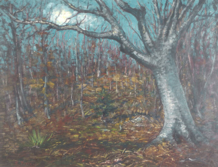 SEVERINO FERRARIS - 'Vecchio tronco di faggio'