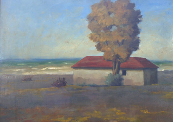 NINO TIRINNANZI - 'Casa sul mare' 1965/1966