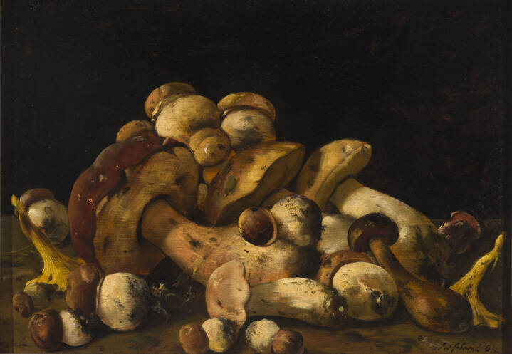 BRUNO SCHWAB - 'Funghi' 1965