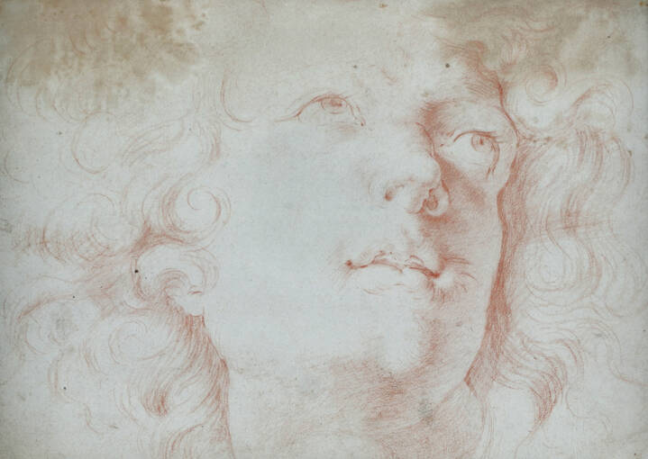 PITTORE ANONIMO DEL XVII SECOLO  - 'Ritratto'