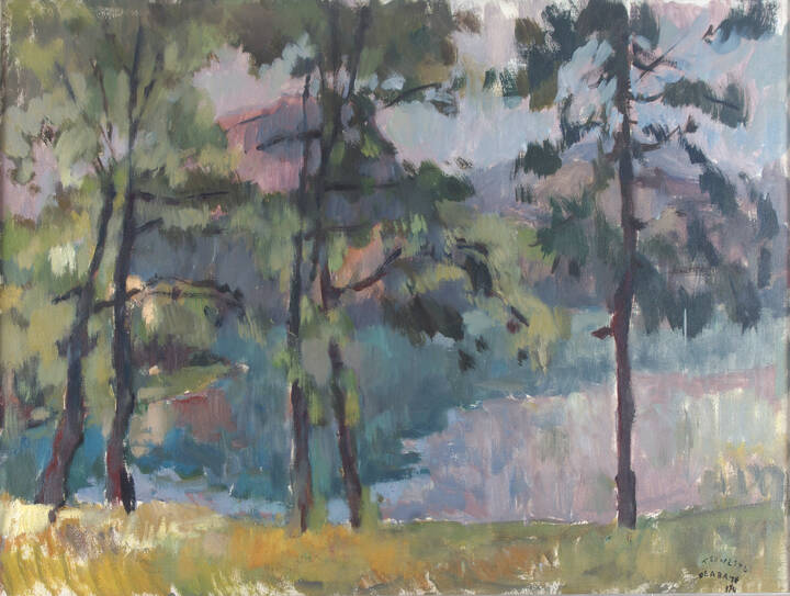 TEONESTO DEABATE - 'Boschetto' 1974