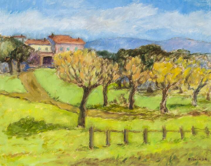 FEDERICO CHIARA - 'Pino torinese' 1971