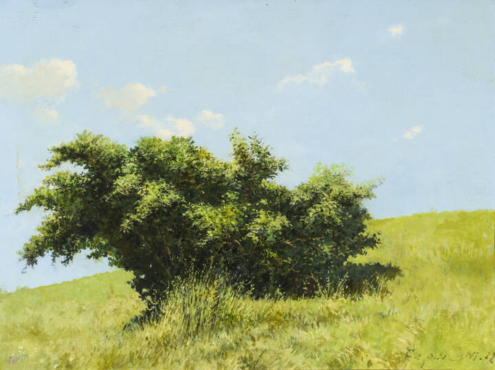 PITTORE NON IDENTIFICATO - 'Grande albero solitario' 1972