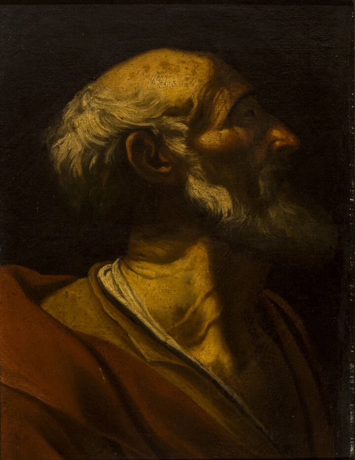 PITTORE ANONIMO DEL XVII SECOLO  - 'Testa di carattere'