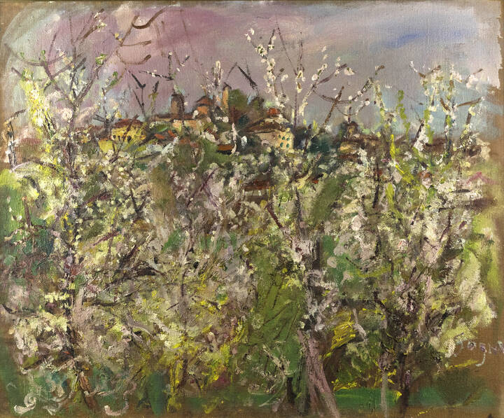 ANNA SOGNO - 'Lago di Pusiano' 1956