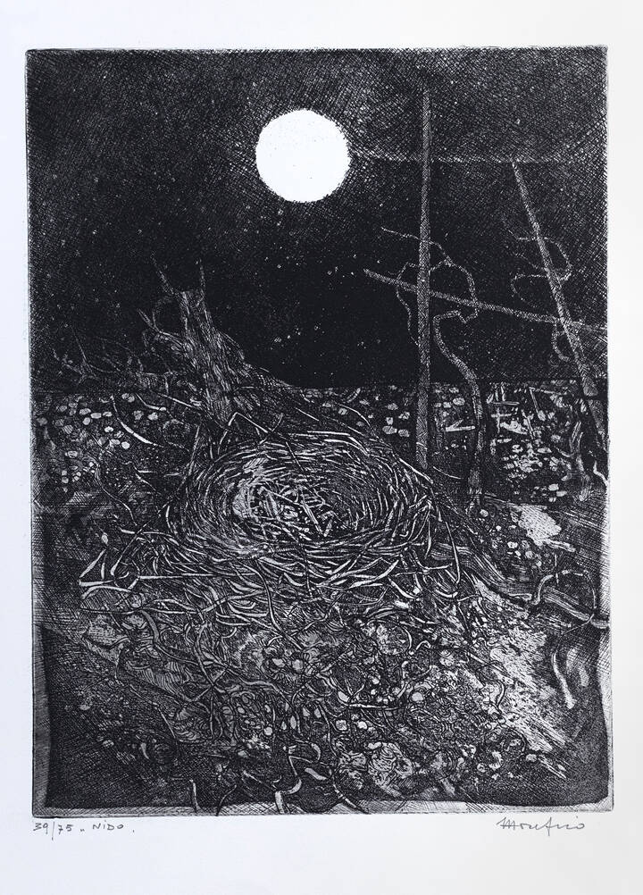 ETTORE FICO - 'Nido'