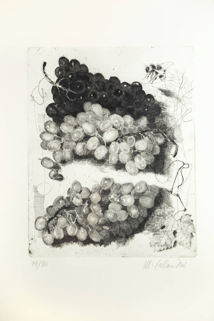 MARIO CALANDRI - 'L'uva' 1978