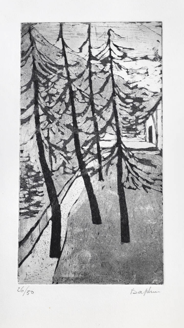 DAPHNE MAUGHAM CASORATI - 'Pineta' 1971