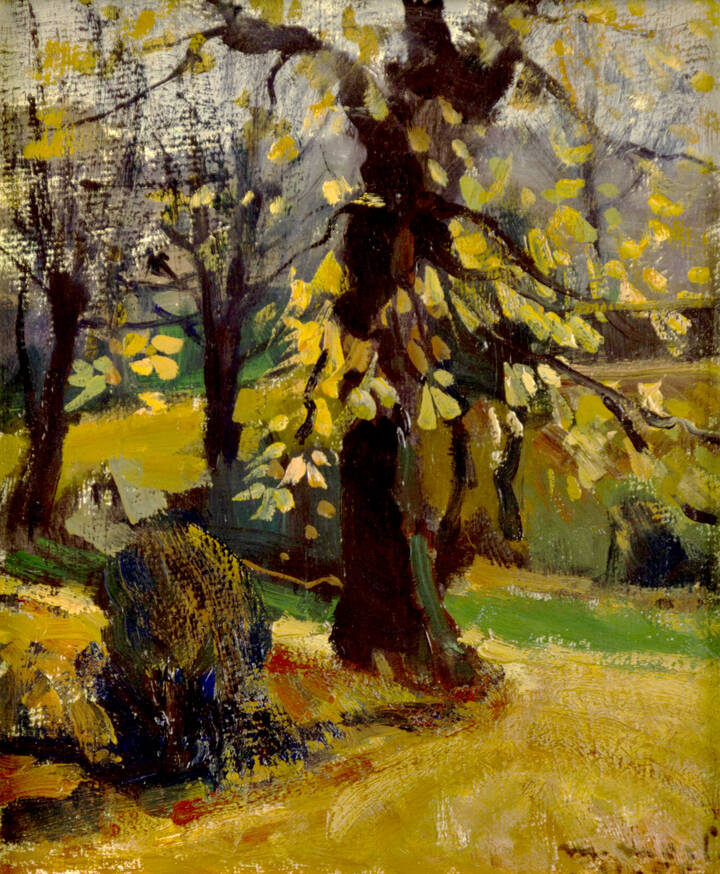 METELLO MERLO - 'Piccoli ippocastani (Villa Ferraris)'