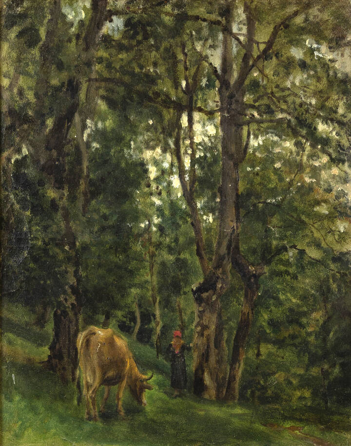 DEMETRIO COSOLA - 'Pascolo nell'ombra'