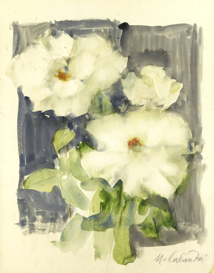 MARIO CALANDRI - 'Fiori'
